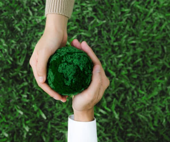 Sustainability