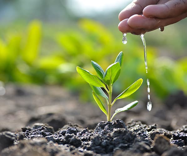 Environmental Sustainability
