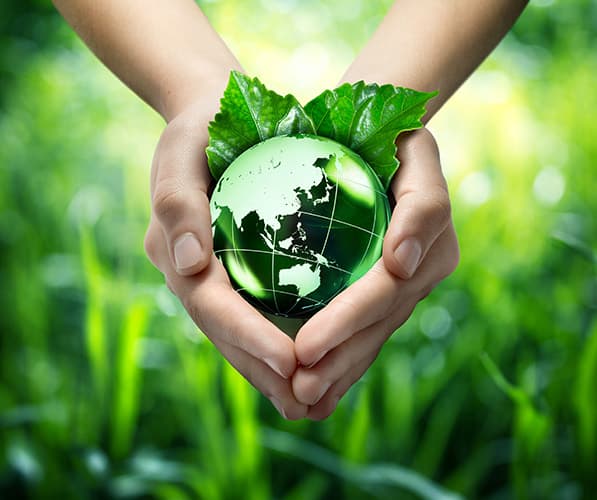 Our Sustainability Framework