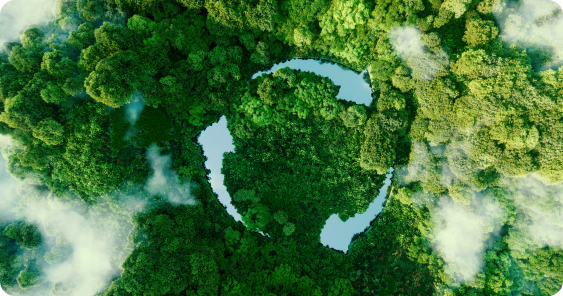 Sustainability