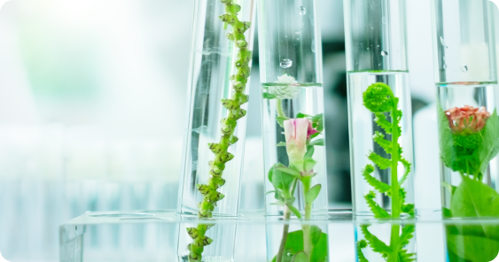 Green Chemistry